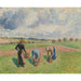 Reproductie van het schilderij Landbouwers die kruiden verzamelen, Éragny - Camille Pissarro