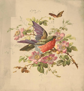 Perroquet écarlate et vert et roses sauvages - Louis Prang