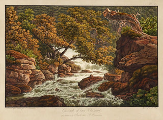Cascade d'eau Chéret - Peter Birmann — weergave van het kunstwerk