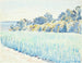 Landschapschilderij Finse landschap met tarweveld nabij bos - Peter Hansen — weergave van het kunstwerk