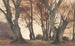 Promeneurs à Ermelunden - Peter Ilsted — artwork view