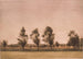 Landschap van Falster - Peter Ilsted — weergave van het kunstwerk