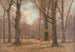 Einde van de herfst in het beukenbos - Peter Paul Müller — weergave van het kunstwerk