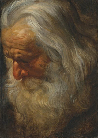 Peter Paul Rubens - Head study of a bearded old man.webp