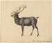 Europese Eland schilderij - Peter Rindisbacher — weergave van het kunstwerk