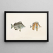 Fauna japonica Pl054 - Philipp Franz Balthasar von Siebold — ingelijst kunstwerk aan de muur