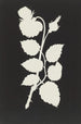 Rose - Philipp Otto Runge — weergave van het kunstwerk