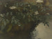 Sureau en bloemen - Philipp Rumpf — weergave van het kunstwerk