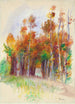 Bosquet d'arbres - Pierre-Auguste Renoir — weergave van het kunstwerk