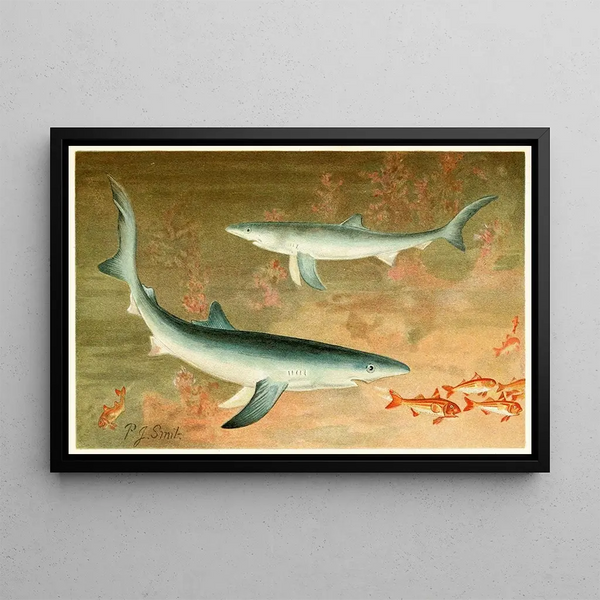 Pierre Jacques Smit - Blue Shark.webp