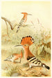 Huppes - Pierre Jacques Smit — artwork view