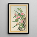 Planten de Chine Pl008 - Pierre Joseph Buchoz — ingelijst kunstwerk aan de muur