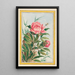 Planten de China Pl009 - Pierre Joseph Buchoz — ingelijst kunstwerk aan de muur