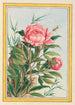Planten de China Pl009 - Pierre Joseph Buchoz — weergave van het kunstwerk