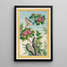 Planten de China Pl013 - Pierre Joseph Buchoz — ingelijst kunstwerk aan de muur