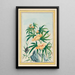 Planten de China Pl018 - Pierre Joseph Buchoz — ingelijst kunstwerk aan de muur