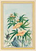 Planten de China Pl018 - Pierre Joseph Buchoz — weergave van het kunstwerk