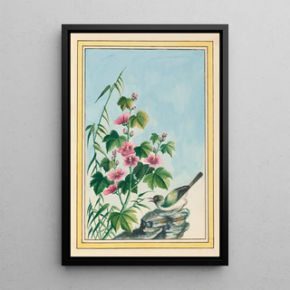 Pierre Joseph Buchoz - Plantes de Chine Pl019.webp