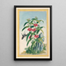 Planten de China Pl021 - Pierre Joseph Buchoz — ingelijst kunstwerk aan de muur