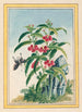 Planten de China Pl021 - Pierre Joseph Buchoz — weergave van het kunstwerk