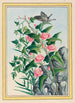 Planten de Chine Pl022 - Pierre Joseph Buchoz — weergave van het kunstwerk