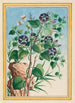 Planten de China Pl023 - Pierre Joseph Buchoz — weergave van het kunstwerk