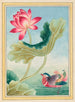 Planten de China Pl026 - Pierre Joseph Buchoz — weergave van het kunstwerk