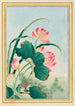 Planten de China Pl027 - Pierre Joseph Buchoz — weergave van het kunstwerk
