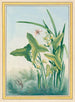 Plants of China Pl.029 - Pierre Joseph Buchoz — artwork view