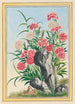 Planten de China Pl030 - Pierre Joseph Buchoz — weergave van het kunstwerk