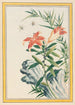 Planten de China Pl033 - Pierre Joseph Buchoz — weergave van het kunstwerk