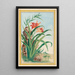 Planten de China Pl034 - Pierre Joseph Buchoz — ingelijst kunstwerk aan de muur
