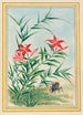 Planten de China Pl035 - Pierre Joseph Buchoz — weergave van het kunstwerk