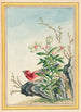 Planten de China Pl038 - Pierre Joseph Buchoz — weergave van het kunstwerk