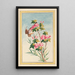 Chinese Plants Painting Pl043 - Pierre Joseph Buchoz — framed artwork on a wall