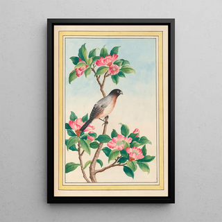 Pierre Joseph Buchoz - Plantes de Chine Pl046.webp