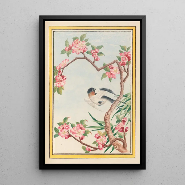 Pierre Joseph Buchoz - Plantes de Chine Pl050.webp