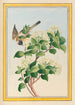 Planten de China Pl059 - Pierre Joseph Buchoz — weergave van het kunstwerk