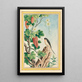 Pierre Joseph Buchoz - Plantes de Chine Pl085.webp