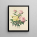Keuze van de mooiste bloemen pl 094 - Pierre-Joseph Redouté — ingelijst kunstwerk aan de muur