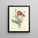 Keuze van de mooiste bloemen pl 104 - Pierre-Joseph Redouté — ingelijst kunstwerk aan de muur