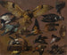 Studie van een uil en andere vogels - Pieter Boel — weergave van het kunstwerk