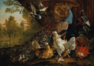 Pieter Casteels III - A peacock chickens pigeons and other birds in a landscape.webp