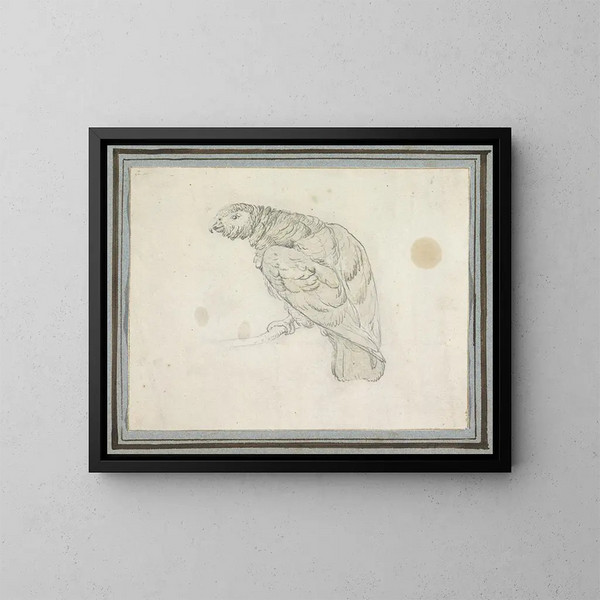 Papegaai - Pieter Casteels III — ingelijst kunstwerk aan de muur