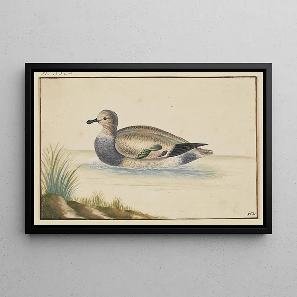 Duck on the Left - Pieter Holsteijn — framed artwork on a wall