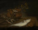 Natuurstudie met vissen, vogels en een kat - Pieter van Schaeyenborgh — weergave van het kunstwerk