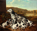 van een Dalmatiaanse hond met puppy's - Pieter van der Hulst — weergave van het kunstwerk