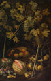 Natuurgetuigenis met fruit en wijnstok - Pietro Paolo Bonzi — weergave van het kunstwerk
