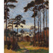 Reproductie van het schilderij Pins sur l'Ettersberg - Christian Rohlfs