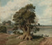 Landschap van de San Isidro-kust - Prilidiano Pueyrredón — weergave van het kunstwerk